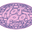 HOTPOT VARIETY logo
